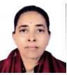 नन्दा चपाई